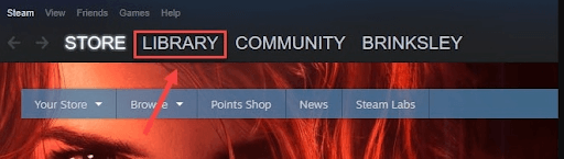 run Steam and open the game Library
