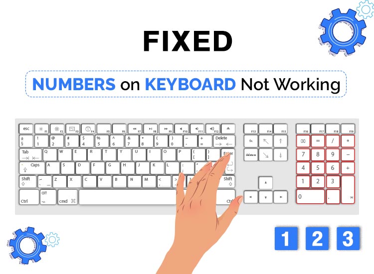 numbers on keyboard not working