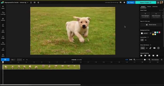 Kapwing AI Video Background Remover