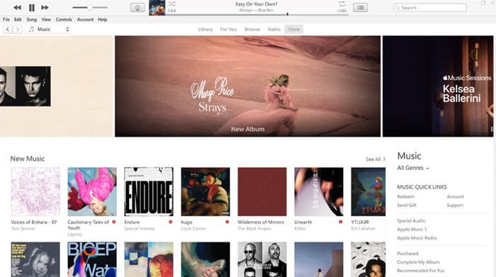 apples itune
