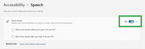 voice access