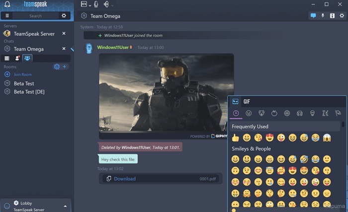 TeamSpeak