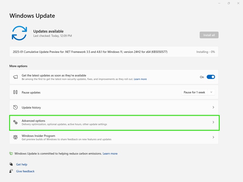 Advanced options from the Windows Update