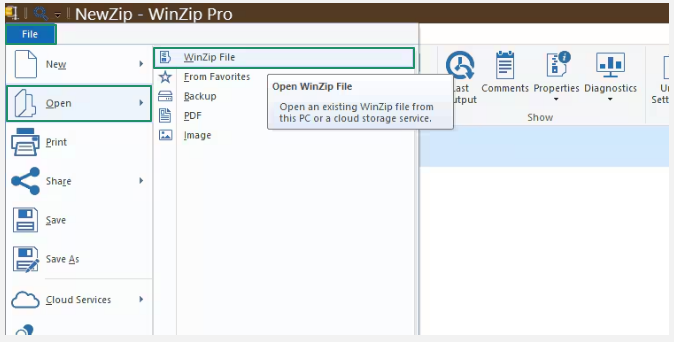WinZip File