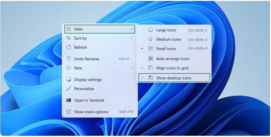 Turn on the show desktop icons feature