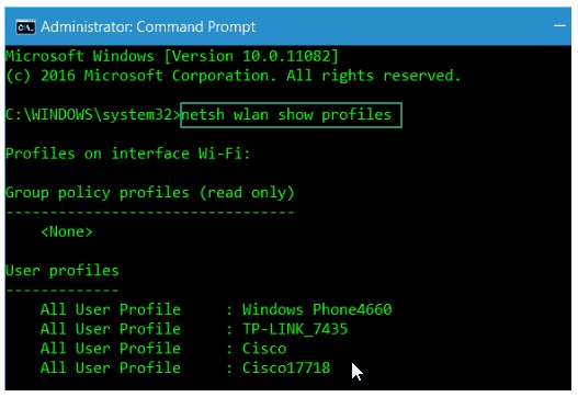 netsh wlan show profiles