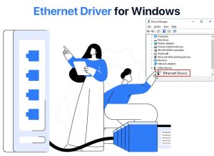 How to Download, Install, and Update Ethernet Drivers on Windows 11/10