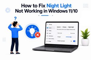 How to Fix Night Light Not Working in Windows 11/10