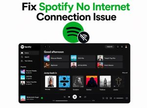 How to Fix Spotify No Internet Connection Issue [Easily]