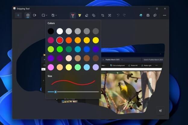 Using Snipping Tool