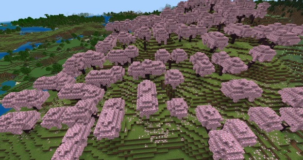 Cherry Blossoms Galore