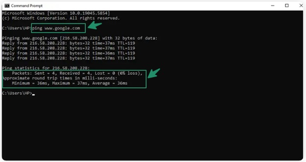 the command ping URL